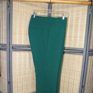 Ann Taylor Factory Forrest Green Trousers